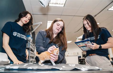 How Much Do Vet Assistants Make? Vet Assistant Salary in 2025