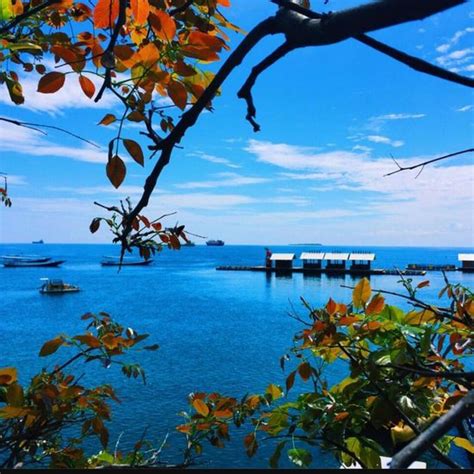 HOMESTAY BUNDER (Banyuwangi, Java) - Guesthouse Reviews & Photos ...