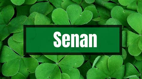 Image result for Popular Irish Names