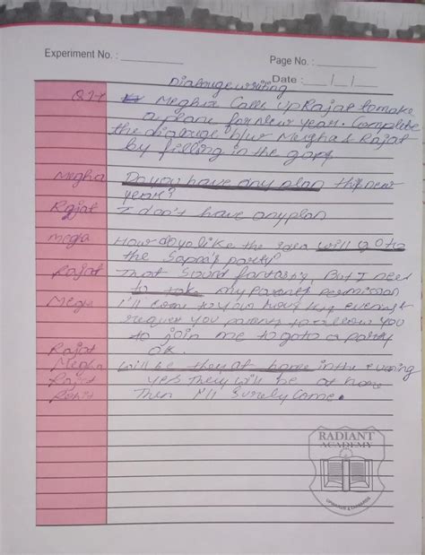 Megha call up rajat to make a plan for new year . Complete the dialogue ...