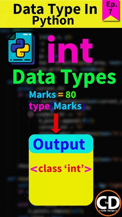 Image result for What a Intin Coding Python