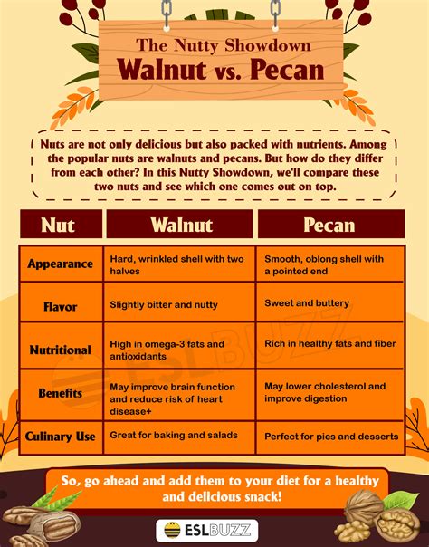 Diferencia Entre Pecans And Walnuts at Thomas Lujan blog