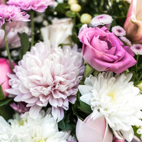 Make it all Pink - Pink Arrangement by The Flora