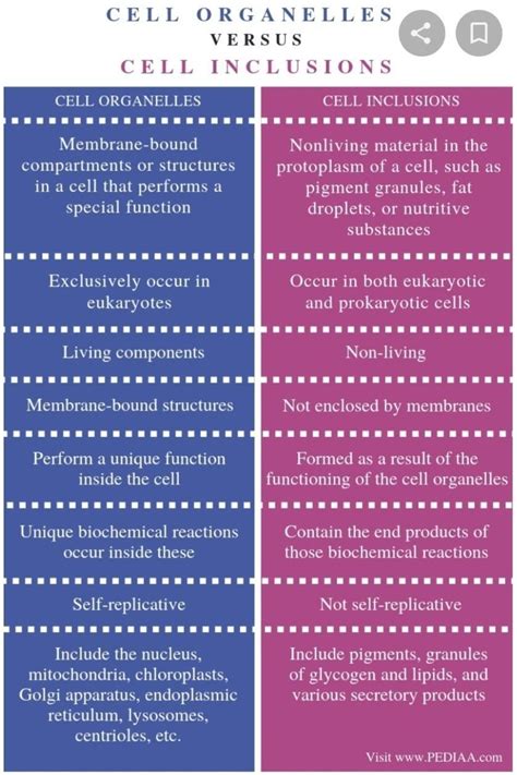 difference between cell organell and cell inclusion. in chart - Brainly.in
