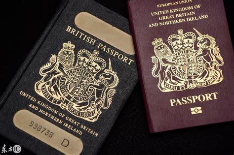 英国护照要换“门面”_新闻中心_新浪网
