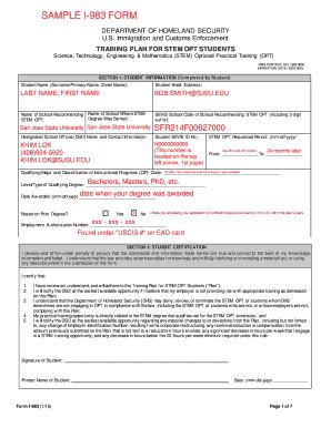 Sample I 983 Form Filled - Fill and Sign Printable Template Online
