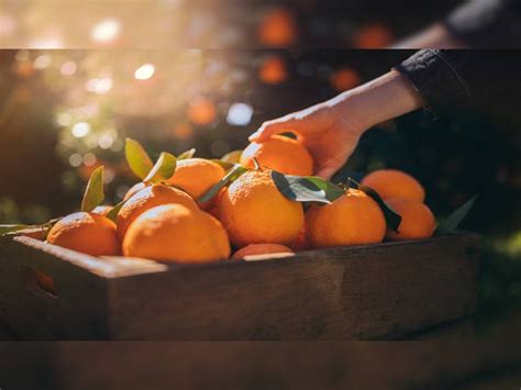 winter joint pain home remedies in hindi uric acid control tips | Uric ...