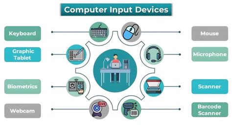 Computer Input Device and Output Devices Guide & Examples - Lucky Falcon
