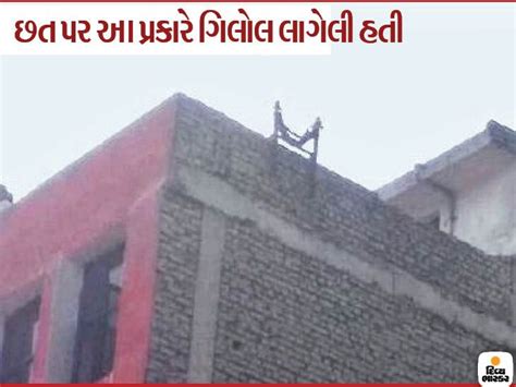 Was there a conspiracy behind the riots in Delhi? A petrol bomb ...