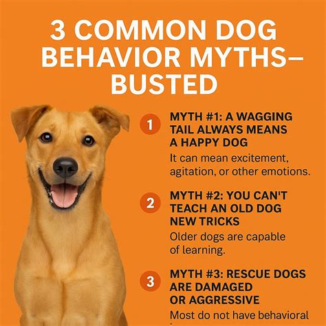 Are Dogs Wild Animals? Debunking Common Myths About Canines