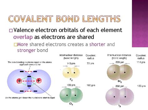 Image result for Covalent Bond Types