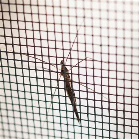 Jain Wire Netting Stores