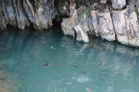 THE BEST Mae Sai Hotels with Valet Parking 2025