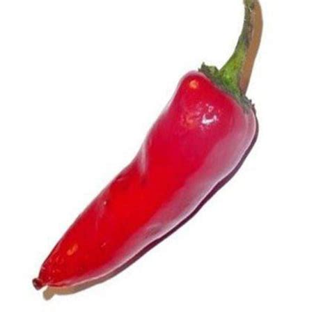 Buy Pepper Seeds online | Best Pepper Seeds in India-TrustBasket