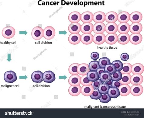 Image result for Cancer Development Cartoon