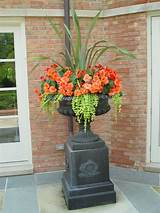 10+ Flower Pot Arrangements For Outdoor