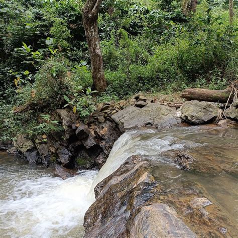 KINGMAKER'S PLANTATION WITH RIVER STREAM (Coorg/Madikeri) - Hotel ...