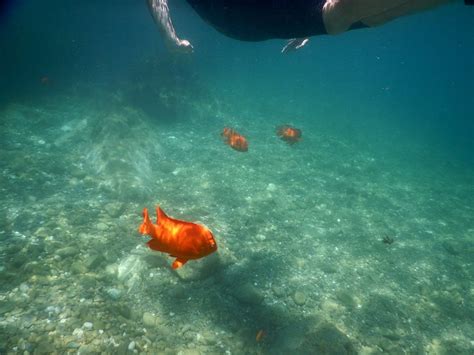 LOVER'S COVE MARINE RESERVE (2026) All You Need to Know BEFORE You Go ...
