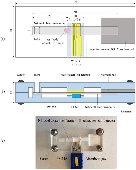 A Simple, Low Cost, Sensitive, and Portable Electrochemical ...