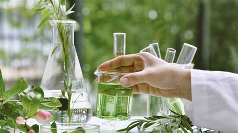 Hund, Katze, Pferd – C. Hinterseher Wissen