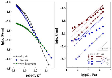 Water Uptake and Transport Properties of La1−xCaxScO3−α Proton ...
