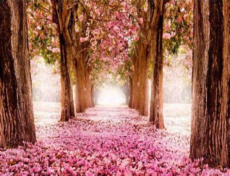 Painting 的图像结果