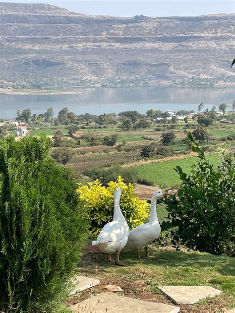 JANDYAL FARM HOUSE (Thitabi Tarf Vaishakhare) - Campground Reviews ...