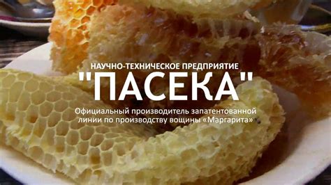 Презентация компании НТП Пасека - YouTube