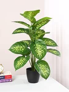 Buy ARICKDECOR Artificial Dieffenbachia Amoena Plant | Big Ornamental ...