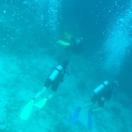 Trunkdivers (Curaçao) - All You Need to Know BEFORE You Go