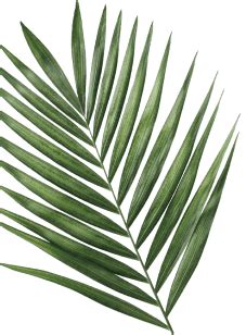 Sonal Spa In Borivali West