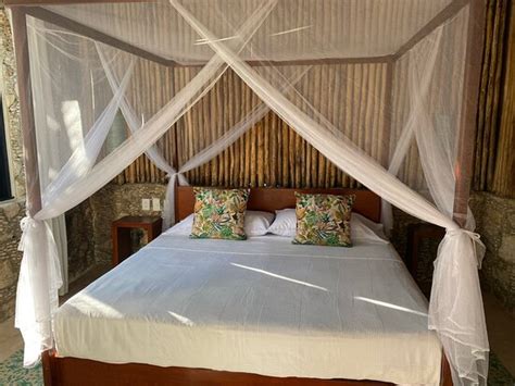 PINA COLORADAS (Rio Lagartos) - Lodge Reviews, Photos, Rate Comparison ...