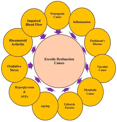 A Review on Risk Factors, Diagnostic Innovations, and Plant Based ...