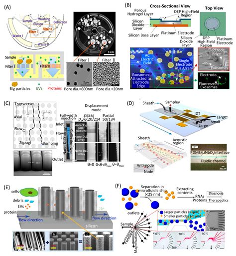Application of Microfluidic Chips in Separation and Analysis of ...