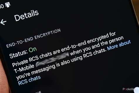 What does 'sent as SMS via server' mean?