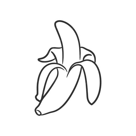 Premium Vector | Banana line art vector illustration