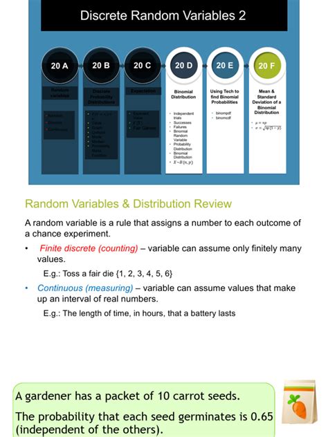 Probability Distribution of a Random Variable 的图像结果