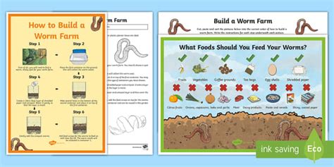 Worm Farms - Sustainability in the Home Activity Pack