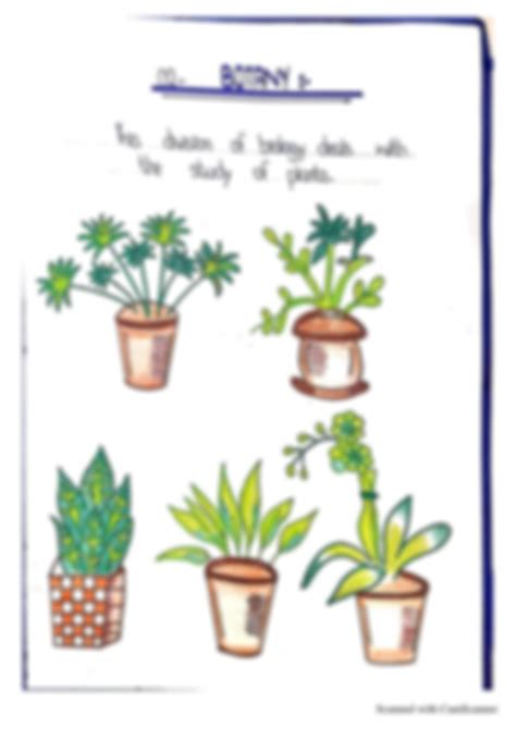 Biology Examples 的图像结果