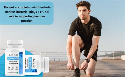 Meibotan Probiotics Bifidobacterium Lactis 50 Billion CFU For Men ...