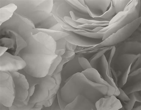 Facelift in Mission Viejo | Michael Lee, MD