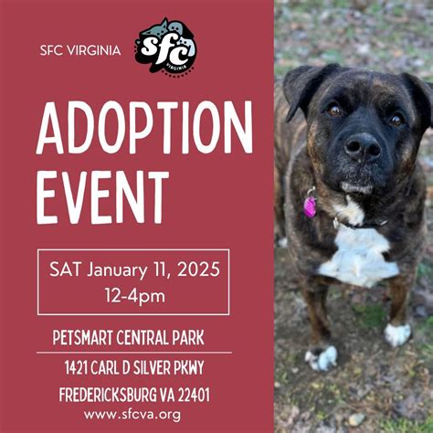 1/11 Adoption Event at Petsmart Central Park, PetSmart (Fredericksburg ...