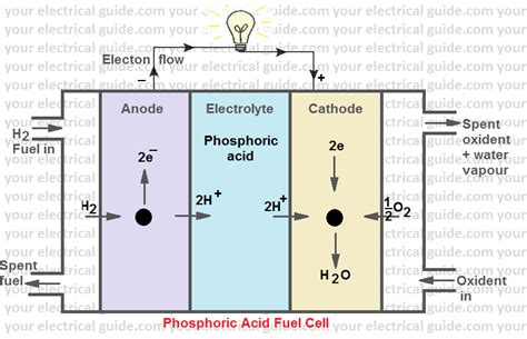 Types of Fuel Cell - Your Electrical Guide