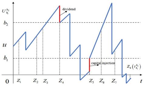 On a Periodic Capital Injection and Barrier Dividend Strategy in the ...