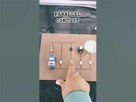 Fun Parallel Circuit Project 的图像结果