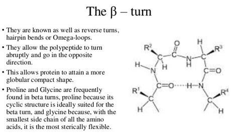 Image result for Beta Turn Structure