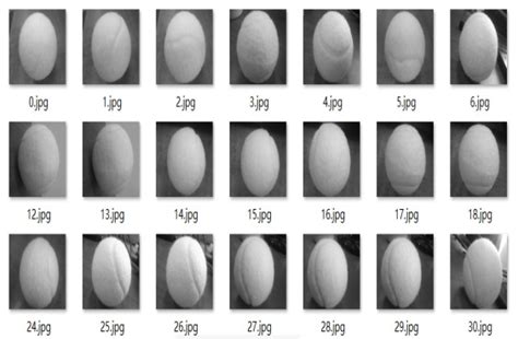 Image result for Sample Collection Positive/Negative