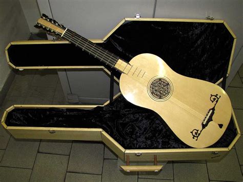 Image result for Ten-String Guitar