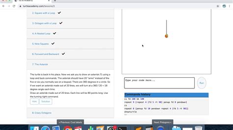 Image result for Turtle Academy Tutorials