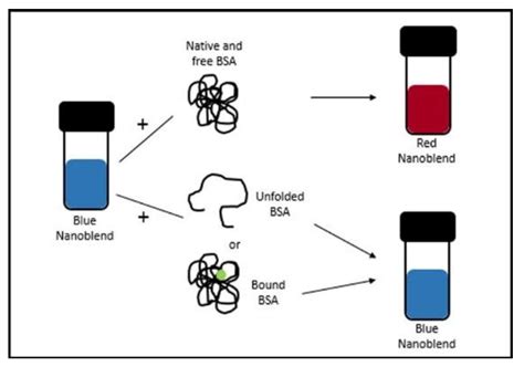 Casein Protein Structure Denatured By Acid